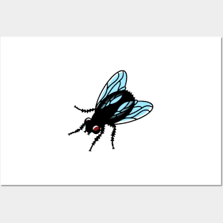 Fly Posters and Art